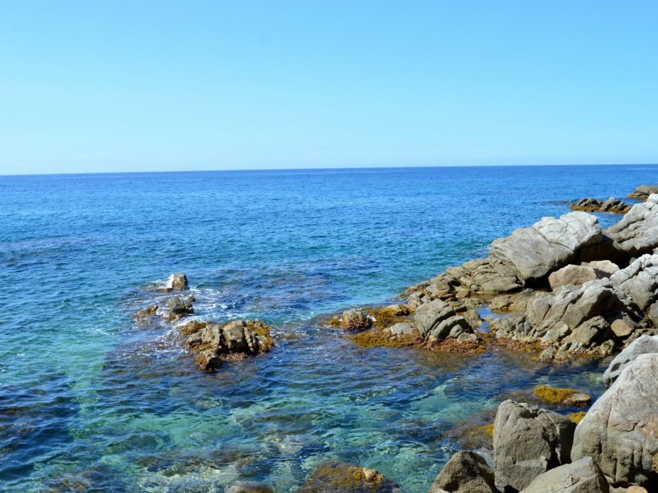 Studios Face A La Mer - Cala Llevado Tossa de Mar Eksteriør billede