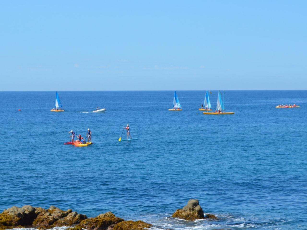 Studios Face A La Mer - Cala Llevado Tossa de Mar Eksteriør billede