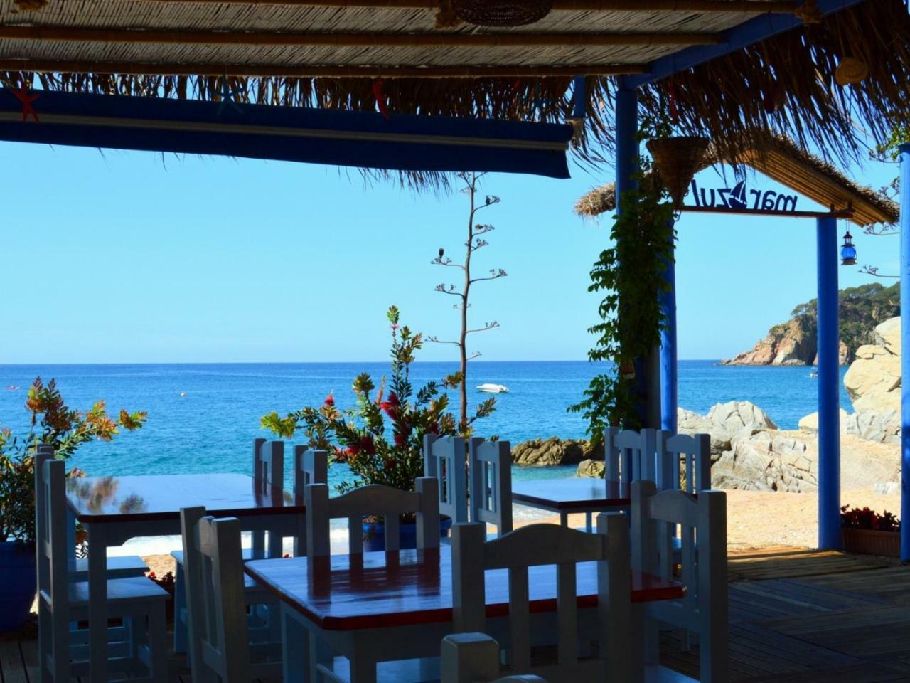 Studios Face A La Mer - Cala Llevado Tossa de Mar Eksteriør billede