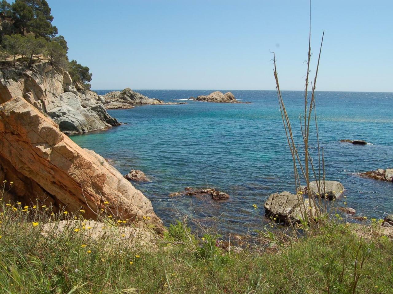 Studios Face A La Mer - Cala Llevado Tossa de Mar Eksteriør billede