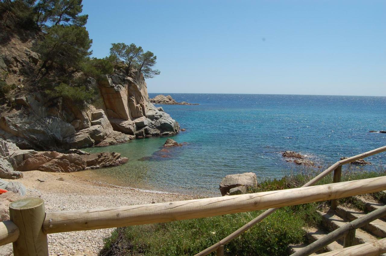 Studios Face A La Mer - Cala Llevado Tossa de Mar Eksteriør billede