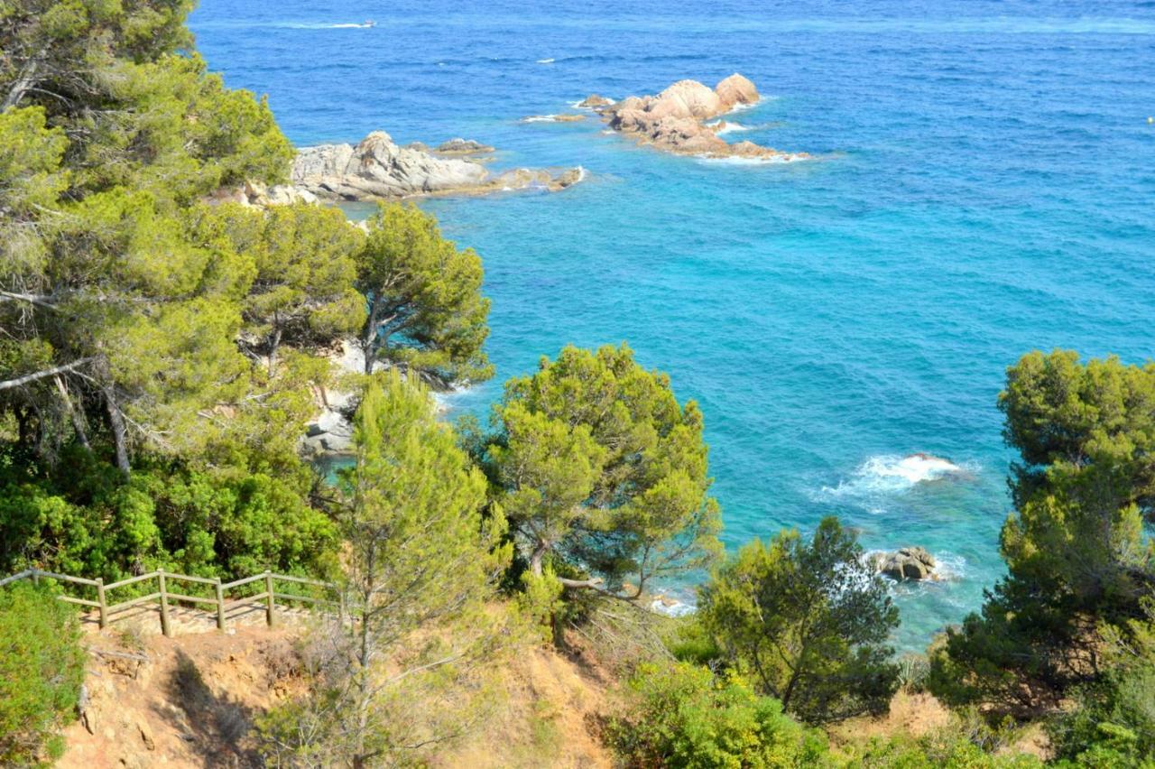 Studios Face A La Mer - Cala Llevado Tossa de Mar Eksteriør billede